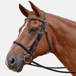 Albion Competition Browband Padded Straight, Loop Size 27, Width 16 Black