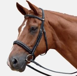 Albion Super Flash Bridle With Calf Wrapped Reins Black