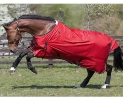 Bridleway Canora Spring & Summer Lightweight 600D Turnout Rug Red/BR