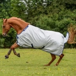 Bucas Power Extra Turnout Rug Silver