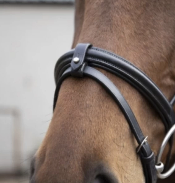 Eco Rider Classic Comfort Flash Bridle Black 2 Eco Rider Classic Comfort Flash Bridle Black - Image 2