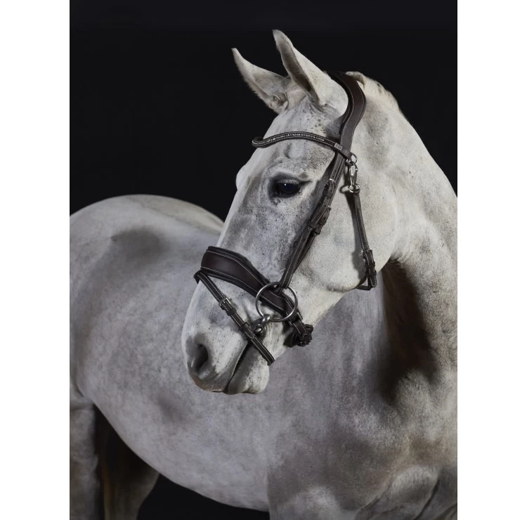 GFS Premier Prime Bridle Black 1 GFS Premier Prime Bridle Black