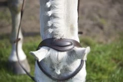 GFS Simplicity Bridle Black -Equestrian Supplies Store gfs simplicity bridle 120752894 black 321012427