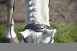 GFS Simplicity Bridle Brown -Equestrian Supplies Store gfs simplicity bridle 120752894 brown 321012427