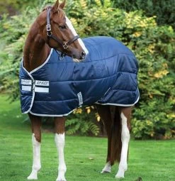 Amigo Horseware Pony Insulator Medium 200gm Stable Rug Navy/Silver