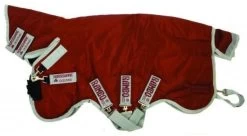 Rambo Horseware Plus Heavy Weight 400gm Turnout Rug Brick Red/Silver