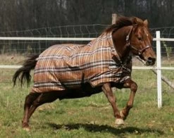 Rhino Horseware Wug Heavy Weight Turnout Chestnut Tartan