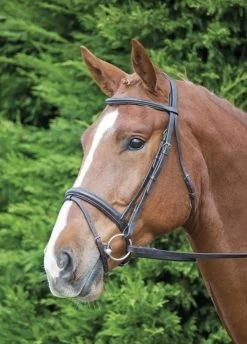 Shires Aviemore Comfort Fit Bridle Black