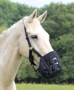 Shires Comfort Grazing Muzzle Black