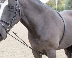 Shires Soft Lunge Aid Black